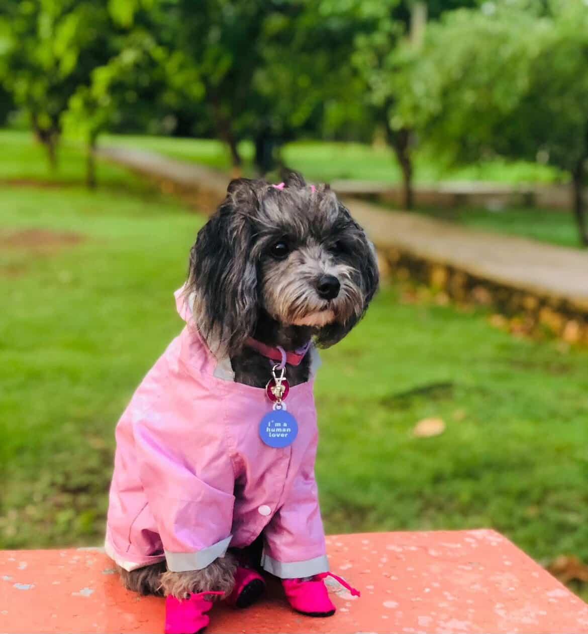 🌧️✨ Colección Lluvia Mágica