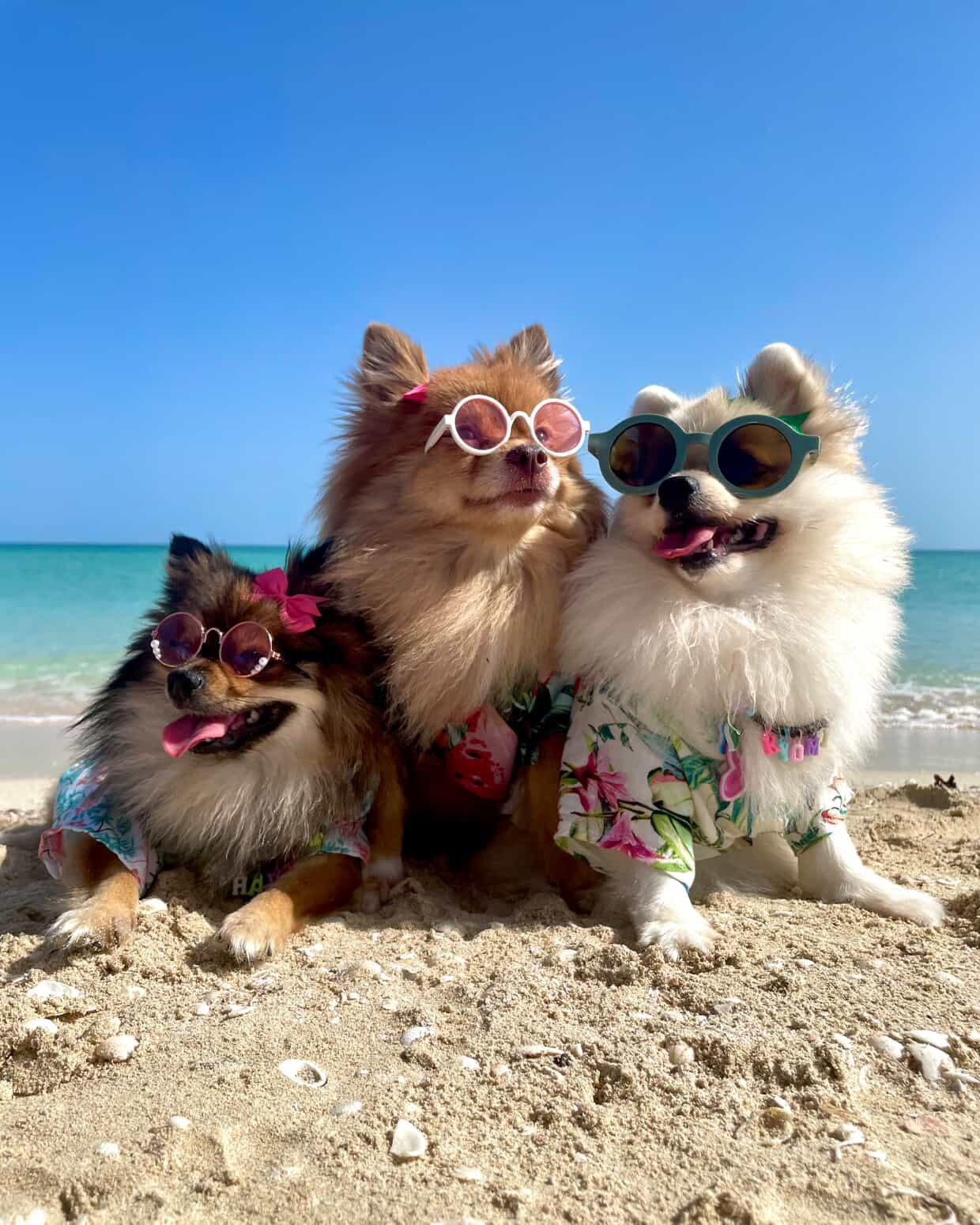 Verano