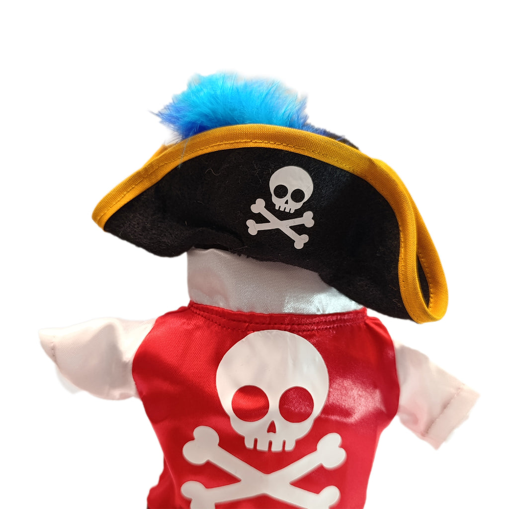 pirata