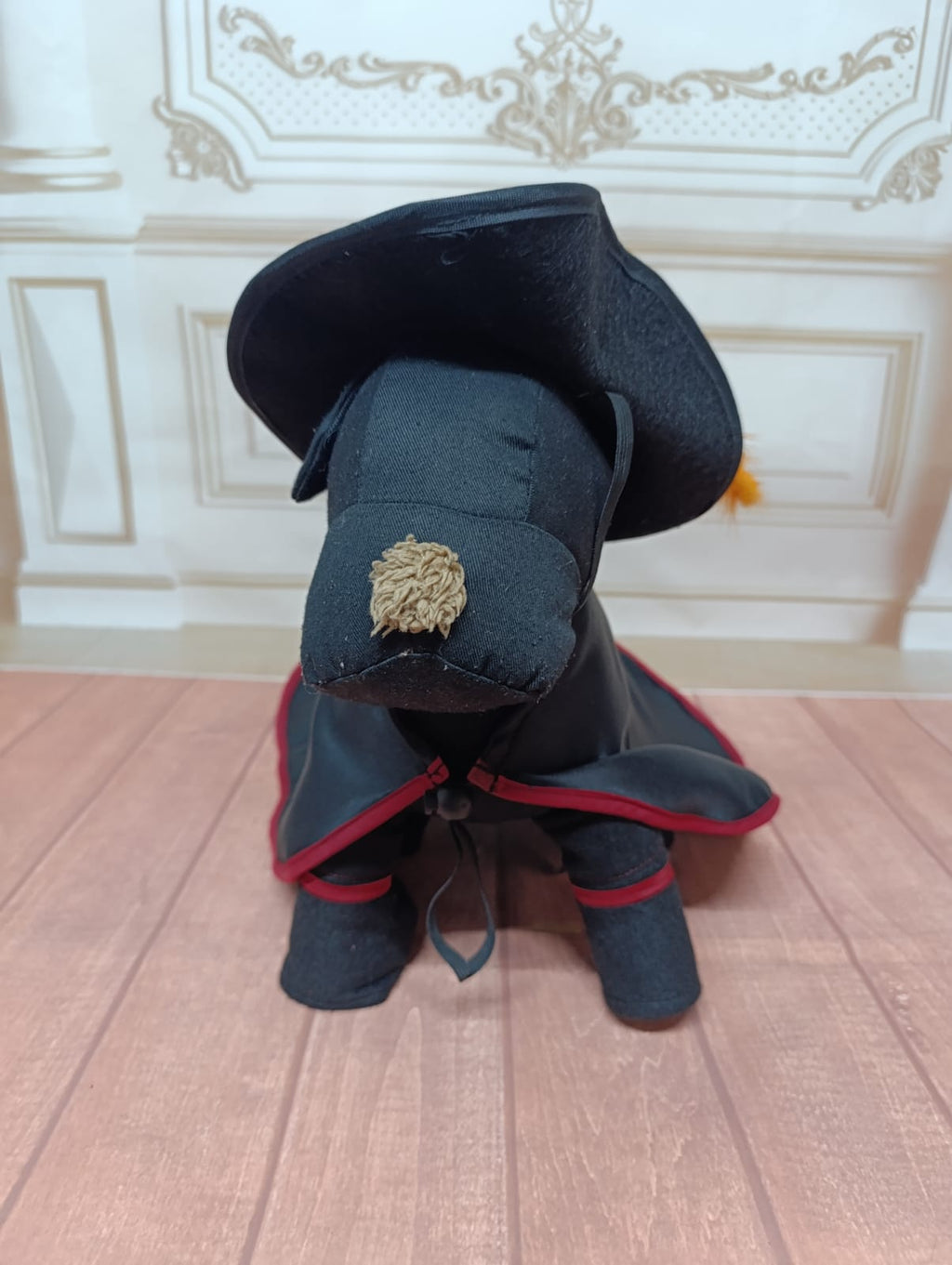 DISFRAZ GATO CON BOTAS