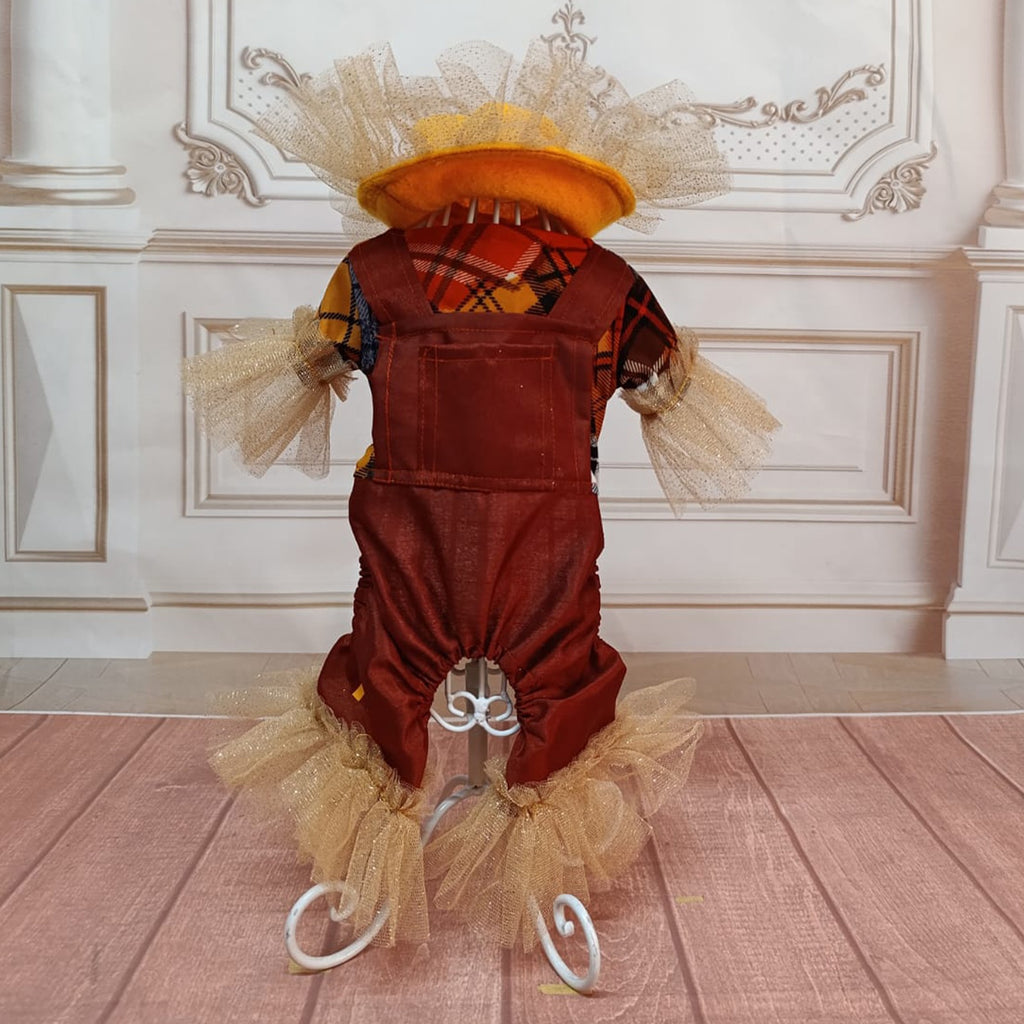 Enterizo espantapajaro