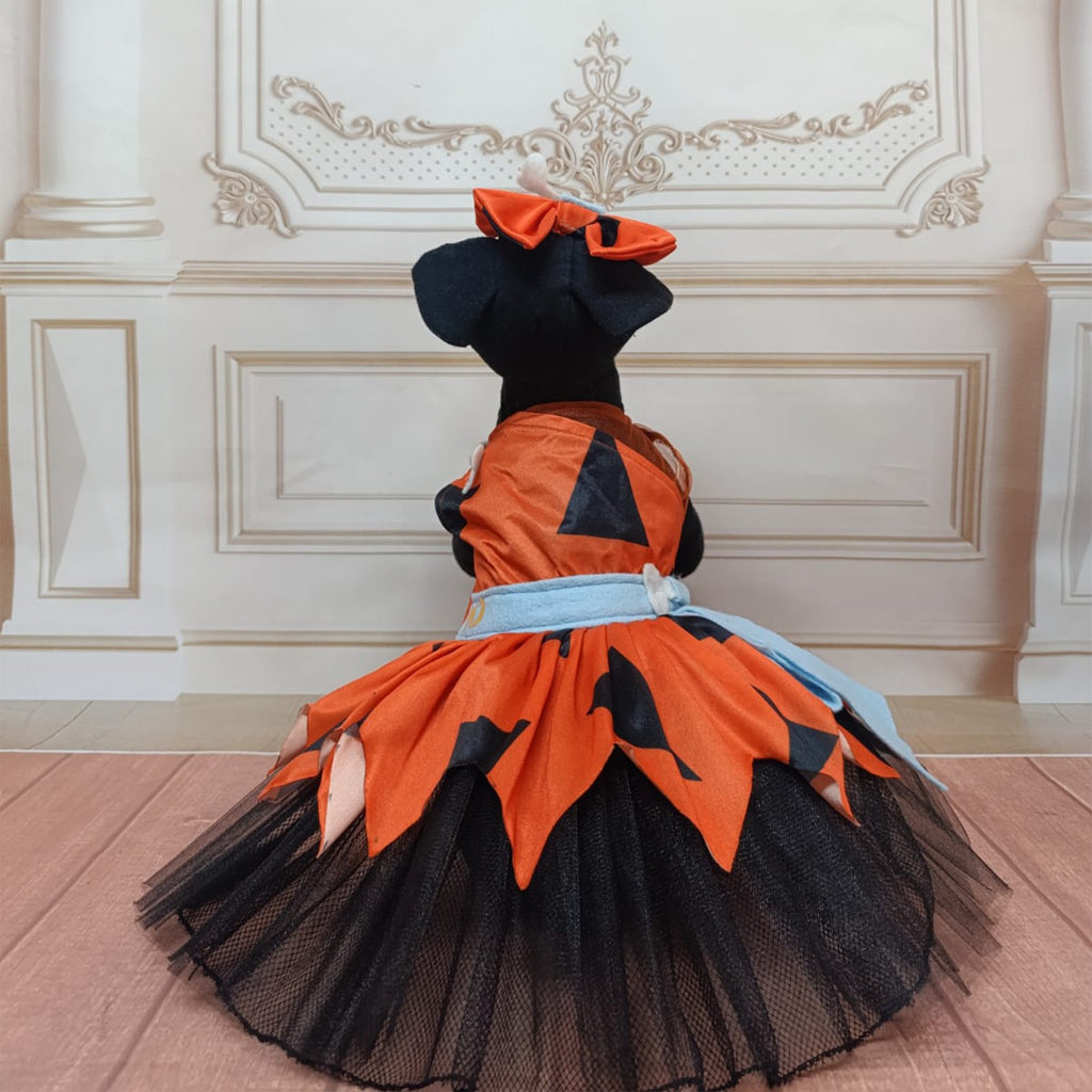 Vestido cavernicola