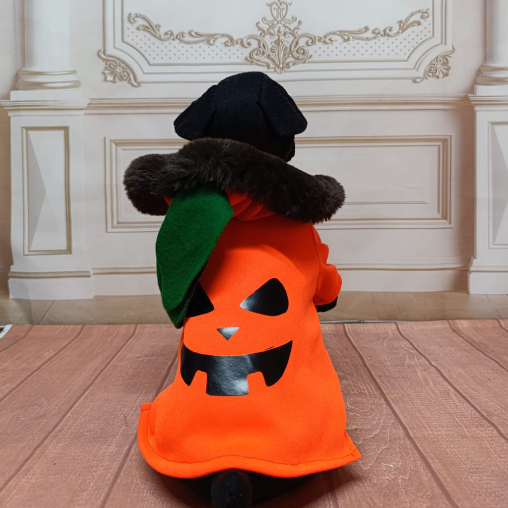 Sudadera calabaza