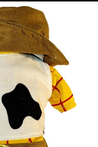 Vaquero del oeste